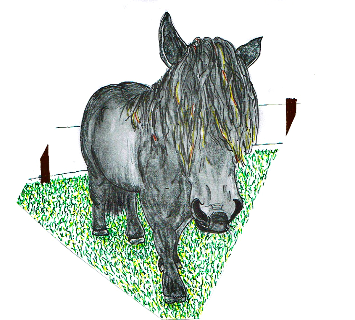 Dessin de cheval