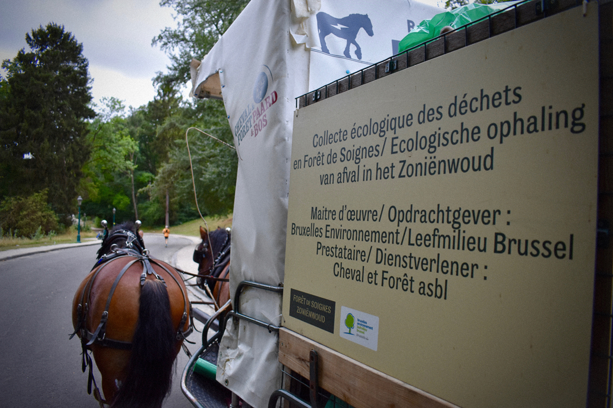 Calèche de collecte de déchets Cheval et Forêt tirée par 2 chevaux dans un parc